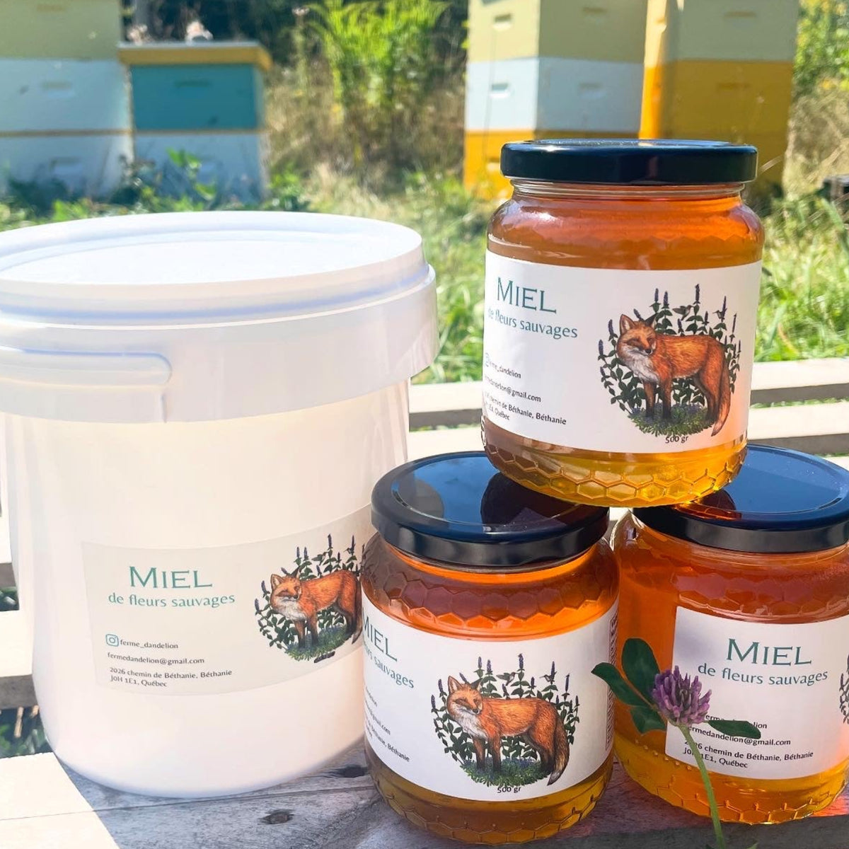 Miel d'été chaudière 3kg